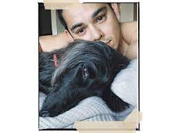 Siblings ruffa and raymond gutierrez introducing dolphy's famous invisible dog joke performed by comedians jose manalo and wally bayola through a recorded video clip. Look Adorable Celebrity Pets On Instagram Gma Entertainment