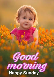 Good morning sunday images, pictures, wallpapers & more. Best Good Morning Happy Sunday Hd Images Free Download
