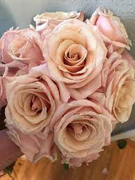 We did not find results for: Julian S Flowers 6900 Gardner Dr Norfolk Va 23518 Usa