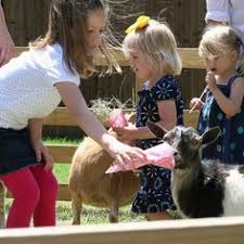 Maybe you would like to learn more about one of these? Petting Zoo Birthday Party