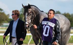 But it isn't an easy contest to win. Retama Park Race Picks