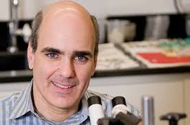 GW Professor Discovers New Information in the Understanding of Autism and  Genetics