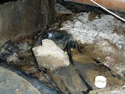 A musty smell inside your home could be caused by mold inside the crawl space. Eliminating Musty Smells In Crawl Spaces