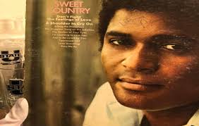 FLOMM 」 Chelsea Davis