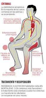 Qué es este síndrome, cuál es su tratamiento, los riesgos y su causa. Que Es El Sindrome De Guillain Barre Salud El Mundo