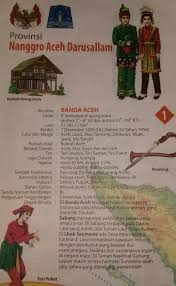 Sebagai salah satu provinsi dengan kewenangan otonomi khusus, aceh memiliki banyak keunikan. Apa Nama Rumah Adat Aceh Brainly Co Id