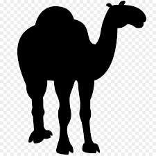 Последние твиты от black camel pictures (@blackcamelpic). Animal Cartoon Png Download 999 999 Free Transparent Dromedary Png Download Cleanpng Kisspng