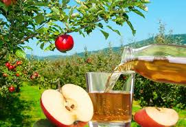 1 pound apples = about 1 1/3 cups applesauce; How Much Juice Comes From An Apple Cuisinevault