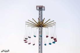 الاسترخاء القس المثالي السجادة في وندر لاند Loudounhorseassociation Org