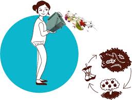 Check spelling or type a new query. Je Demarre Le Site Du Compostage En Ville