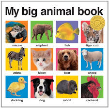 My Big Animal Book My Big Board Books Animal Books Animal Book Big Animals