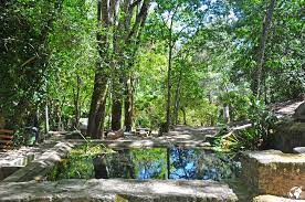 The population in 2011 was 6,045, in an area of 395.30 km2. Natur Abseits Der Kuste Serra De Monchique Borboleta Meets World