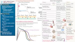 Image result for Antiarrhythmic