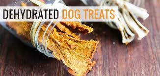 This diabetic dog food formula features fresh chicken and chicken meal as the top two ingredients which speaks to the high protein content of this formula. Diabetic Dog Food Recipes Homemade Pin On Winnie Homemade Dog Food Comes In Two Flavors Apartment Canada