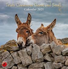 Irish Creatures Great And Small Calendar 2021 19 8cm X 20cm Bookstation