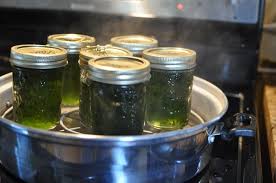 Process in a boiling water canner. Jalapeno Jelly The Domestic Mama The Village Cook Jalapeno Jelly Canning Recipes Canning Vegetables