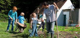 Maybe you would like to learn more about one of these? Semer Ou Refaire Sa Pelouse Sans Retourner La Terre Conseils