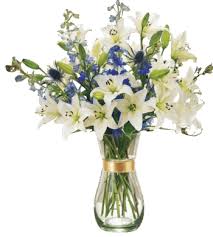 Image result for ficus elastica flower