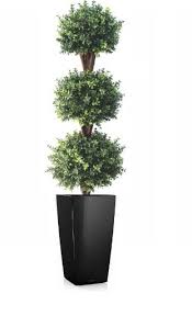 3 out of 5 stars with 2 ratings. Deluxe Triple Boxwood Ball Topiary Tree From Evergreen Direct