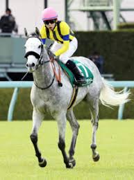 있는거는 뭔가 제물이 아닌거 같아서 다른거 쉣그어그. 7mwyz07hxzfmum