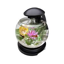 Simply pour in water and it cleans itself! Best Self Cleaning Fish Tank Reviews In 2021 Mem Fish