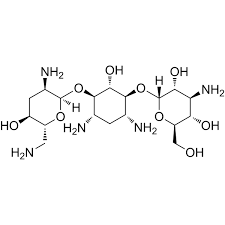 Image result for Tobramycin