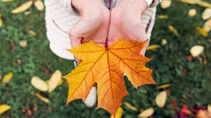 El otoño argentino se deja ver con la caída de las hojas que se tornan de colores rojos, naranjas y con el invierno argentino, las temperaturas bajan varios grados bajo cero en zonas como tierra del. Equinoccio De Otono A Que Hora Se Producira En Argentina El Fenomeno Que Marcara El Fin Del Verano Infobae