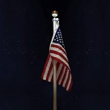 Flagpole Ball Top Led Light Us Flags