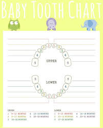 Teething Isnt For Babies Gift Basket Baby Teething Chart