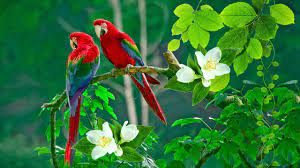 We did not find results for: Best Phone Wallpapers Images Good Morning Status Beautiful Mobile Wallpapers Download Youtube