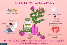 Here are a few side effects fenugreek you must know to avoid them: Blessed Thistle Benefits Side Effects Dosage And Interactions