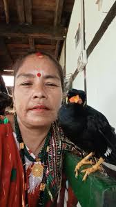Talking bird in Nepal 🇳🇵