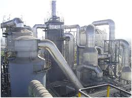 Résultat de recherche d'images pour "zinc burn in plants"