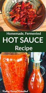 Here Is A Homemade Hot Sauce Recipe You Can Make Either Fermented Or Not Plus You Can Eithe Fermented Hot Sauce Recipe Hot Sauce Recipes Fermentation Recipes