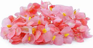 When shopping for fresh produce or meats, be certain to take the time to ensure that the texture, colors, and quality of the food you buy is the best in the batch. Fresh Flower Begonia Apple Blossoms Information And Facts