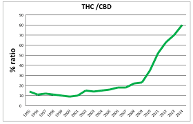Specific Marijuana Potency Chart Thc Weight Chart Edible