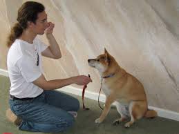 The first step for how to get your puppy to stop biting is to inhibit the behavior. Cesar Millan S Positive Dog Training Techniques Pethelpful By Fellow Animal Lovers And Experts