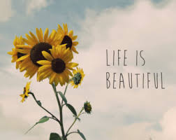 So you're a sunflower niche writer. Inspirational Quotes Sunflower Quotesgram