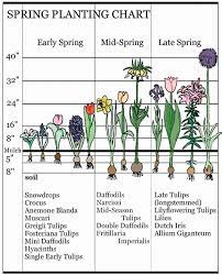 Your heart warms too, because the bulbs you planted last fall are just starting to emerge. Early Blooming Flowers Landscaping Early Spring Bulbs Breck S