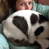 Billionaire Bear Shifters by Brittany White