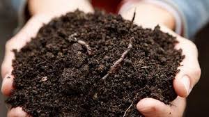 How long to make compost in garden. How To Make Compost Better Homes Gardens