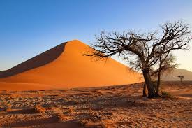 If you must travel to namibia, get fully vaccinated before travel. Namibia Classica Ecoturismo Con Gondwana Collection Windhoek Namibia Dlt Travel