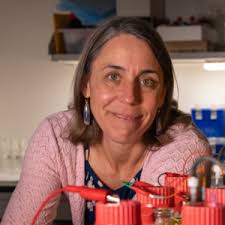 Caroline Ajo-Franklin