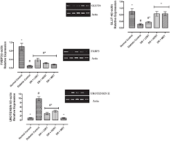 Image result for Sterculia tragacantha