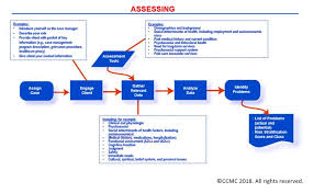 Introduction To The Case Management Body Of Knowledge