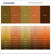 Bronze is the color of the alloy bronze. 3 Latest Color Schemes With Copper And Bronze Color Tone Combinations 2021 Icolorpalette