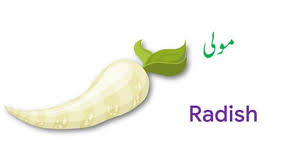 Vegetable Names In English And Urdu With Pictures Download Pdf Name Of Vegetables Vegetables Names With Pictures Fruit Names