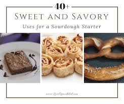 Leftover Sourdough Starter Recipes The Ultimate List Sourdough Starter Recipe Starters Recipes Sourdough Starter