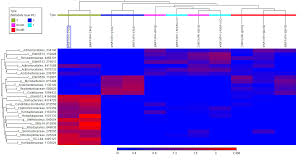 Image result for bioinformatics heatmap