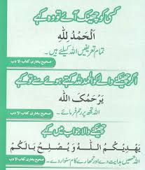 Pin By Shehzad Latif On Emal E Saleh Bullet Journal Calligraphy Journal